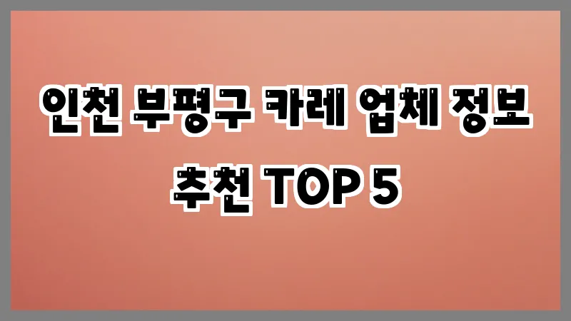 인천 부평구 카레