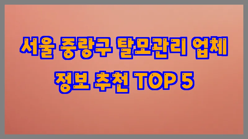 서울 중랑구 탈모관리