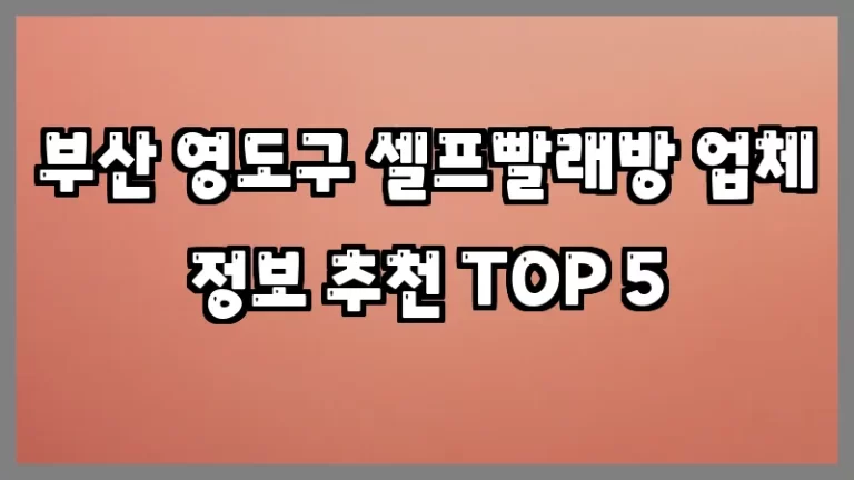 부산 영도구 셀프빨래방 업체 정보 추천 TOP 5