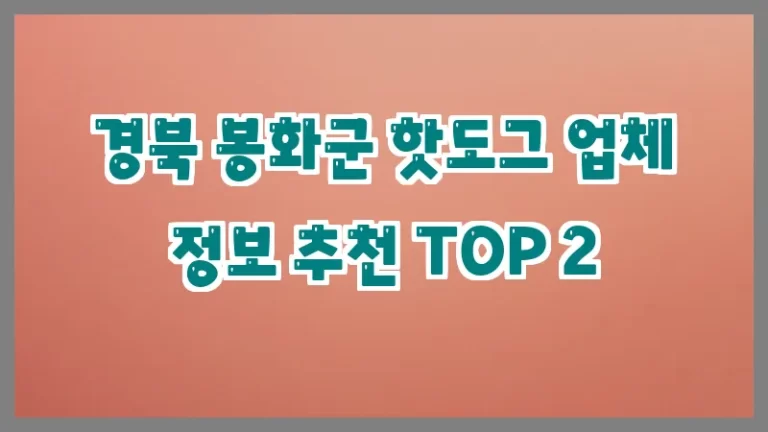 경북 봉화군 핫도그 업체 정보 추천 TOP 2