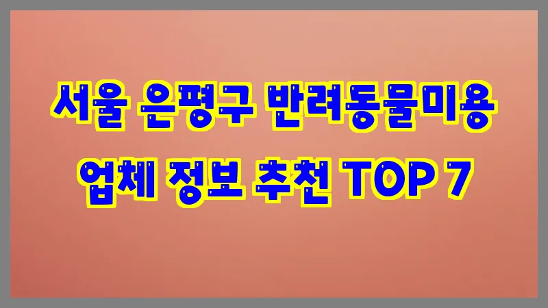 서울 은평구 반려동물미용 업체 정보 추천 TOP 7