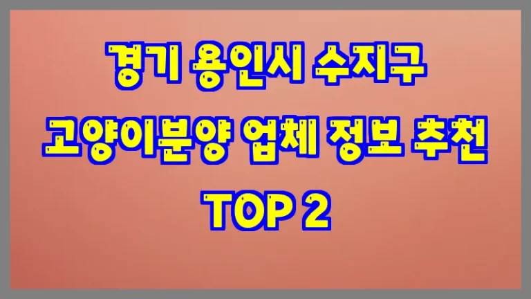 경기 용인시 수지구 고양이분양 업체 정보 추천 TOP 2