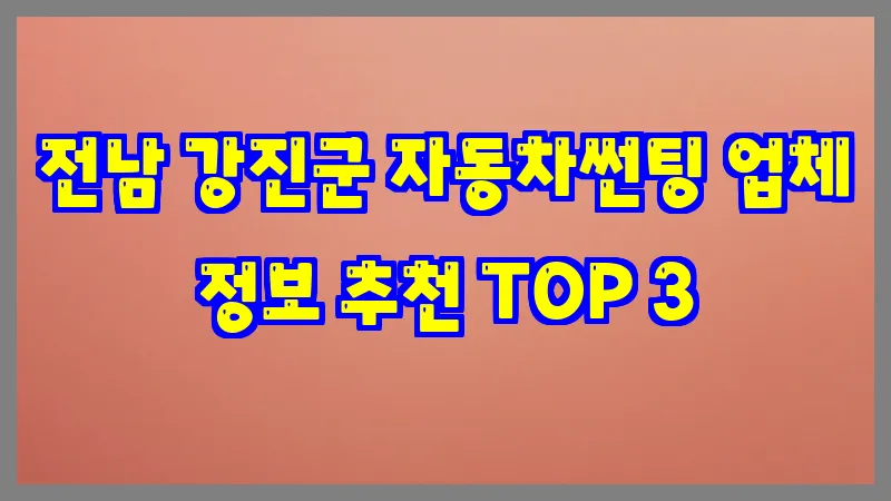 전남 강진군 자동차썬팅