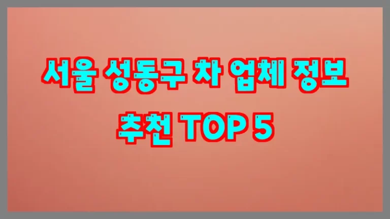 서울 성동구 차 업체 정보 추천 TOP 5