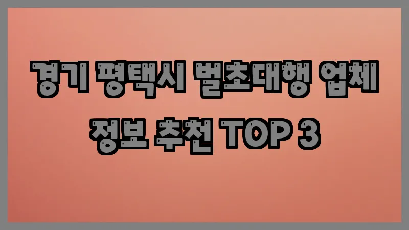 경기 평택시 벌초대행