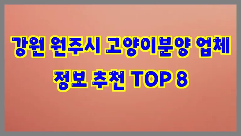 강원 원주시 고양이분양 업체 정보 추천 TOP 8