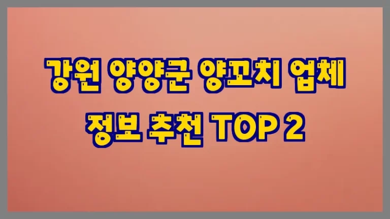 강원 양양군 양꼬치 업체 정보 추천 TOP 2