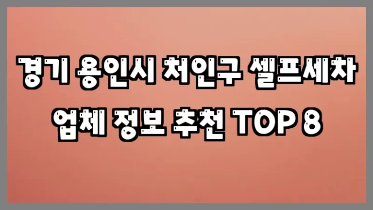 경기 용인시 처인구 셀프세차 업체 정보 추천 TOP 8