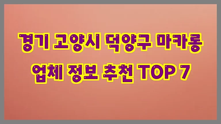 경기 고양시 덕양구 마카롱 업체 정보 추천 TOP 7