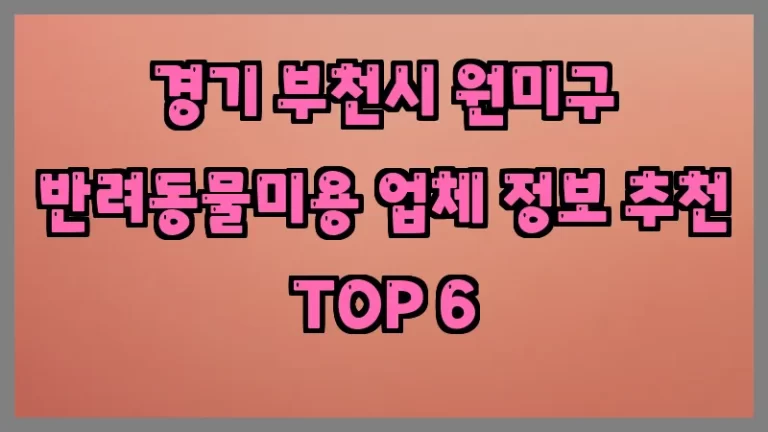 경기 부천시 원미구 반려동물미용 업체 정보 추천 TOP 6