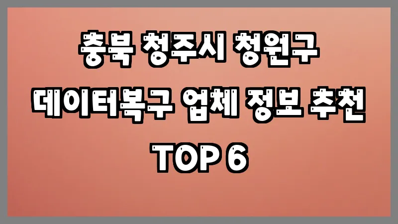 충북 청주시 청원구 데이터복구 업체 정보 추천 TOP 6