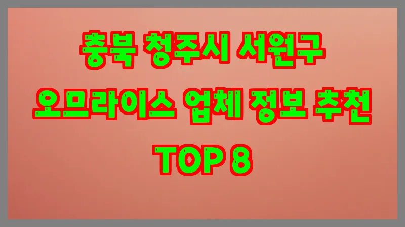 충북 청주시 서원구 오므라이스 업체 정보 추천 TOP 8