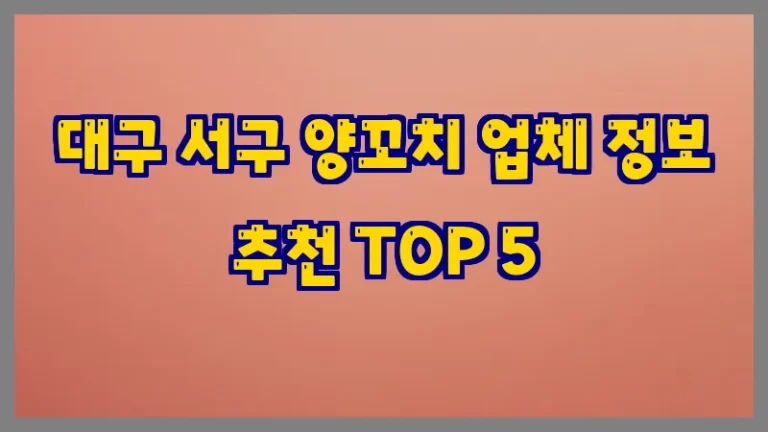 대구 서구 양꼬치 업체 정보 추천 TOP 5