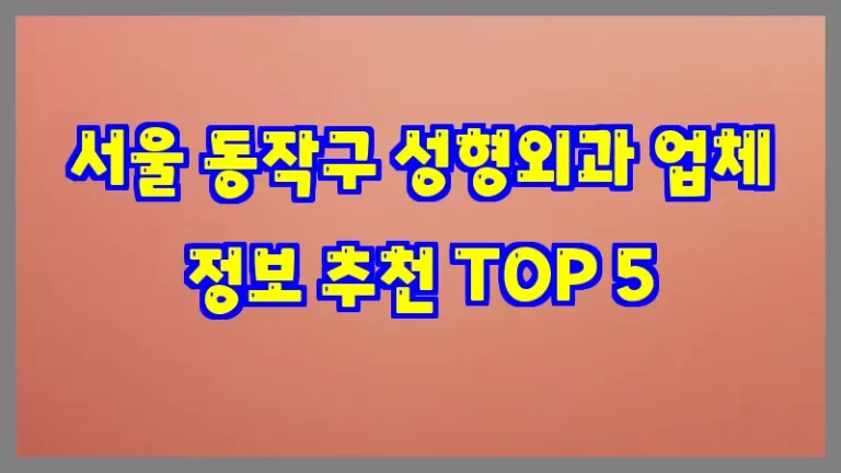 서울 동작구 성형외과 업체 정보 추천 TOP 5