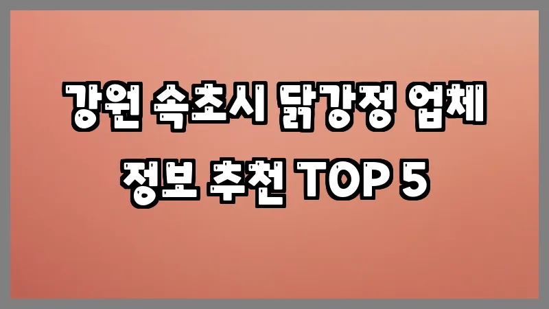 강원 속초시 닭강정 업체 정보 추천 TOP 5