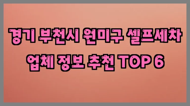 경기 부천시 원미구 셀프세차 업체 정보 추천 TOP 6