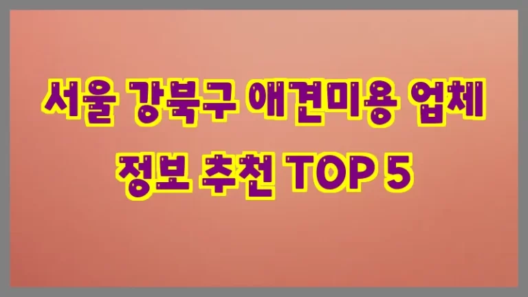 서울 강북구 애견미용 업체 정보 추천 TOP 5