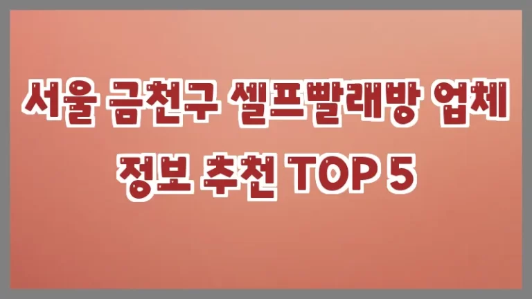 서울 금천구 셀프빨래방 업체 정보 추천 TOP 5