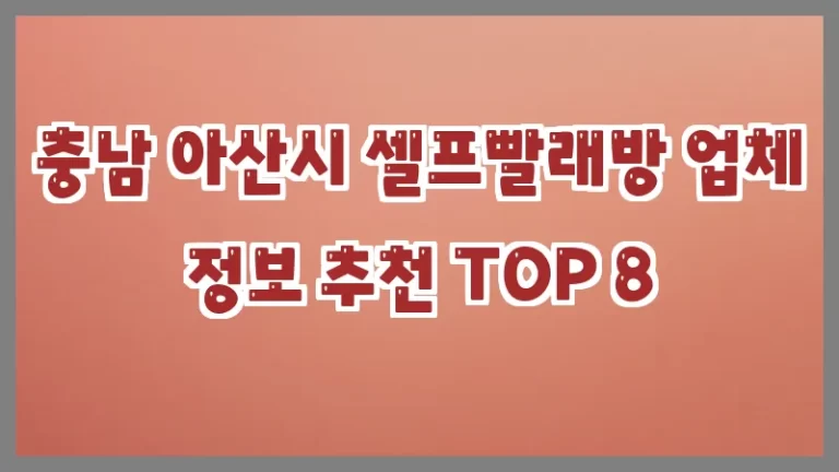 충남 아산시 셀프빨래방 업체 정보 추천 TOP 8