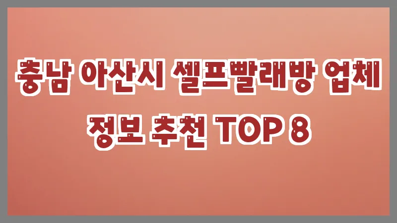 충남 아산시 셀프빨래방