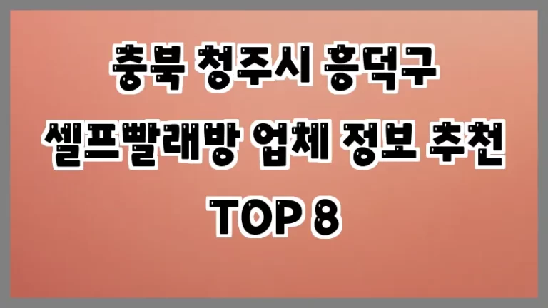 충북 청주시 흥덕구 셀프빨래방 업체 정보 추천 TOP 8