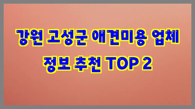 강원 고성군 애견미용 업체 정보 추천 TOP 2