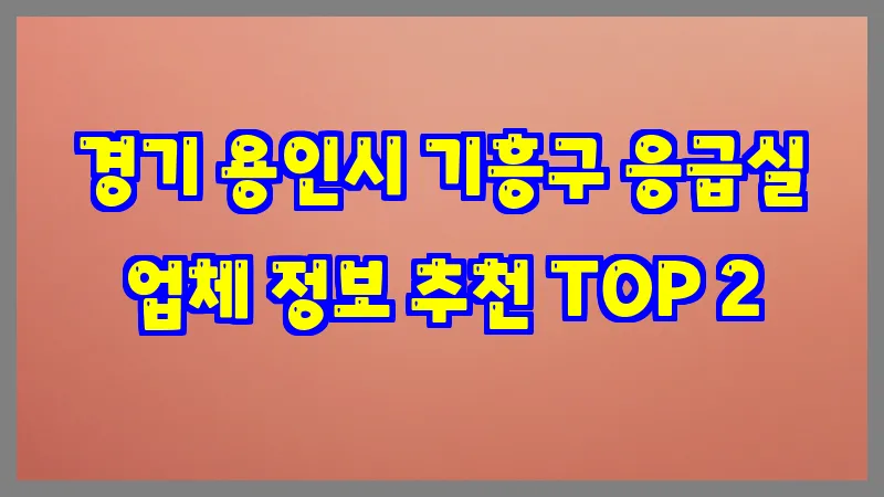 경기 용인시 기흥구 응급실