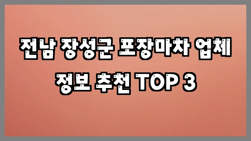 전남 장성군 포장마차