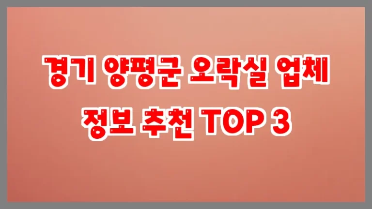 경기 양평군 오락실 업체 정보 추천 TOP 3