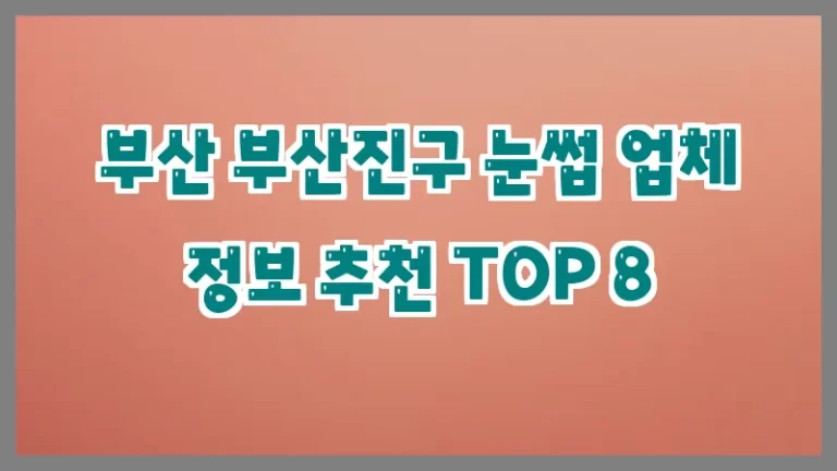 부산 부산진구 눈썹 업체 정보 추천 TOP 8