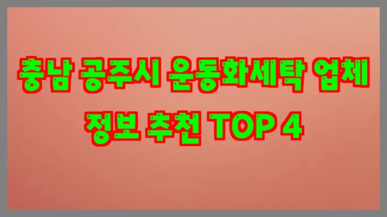 충남 공주시 운동화세탁 업체 정보 추천 TOP 4