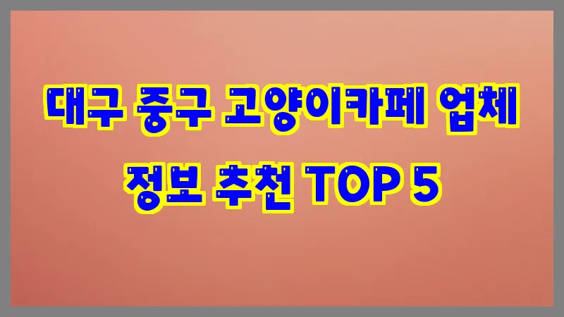 대구 중구 고양이카페