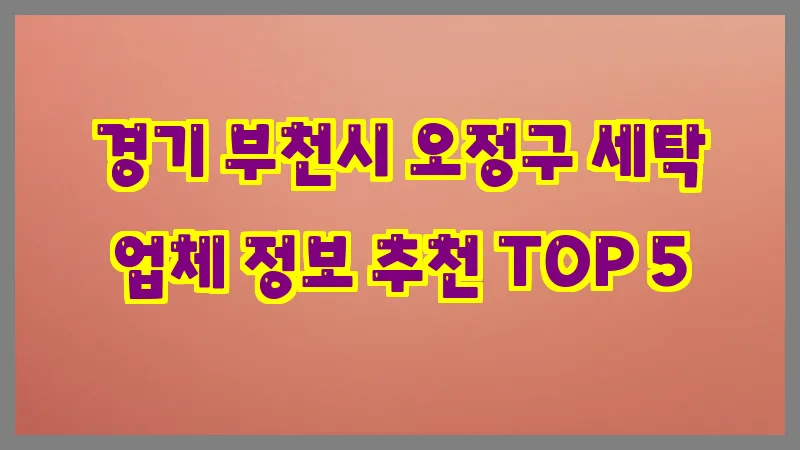 경기 부천시 오정구 세탁