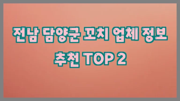 전남 담양군 꼬치 업체 정보 추천 TOP 2