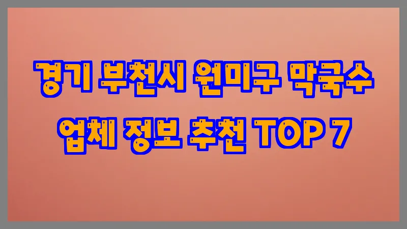 경기 부천시 원미구 막국수
