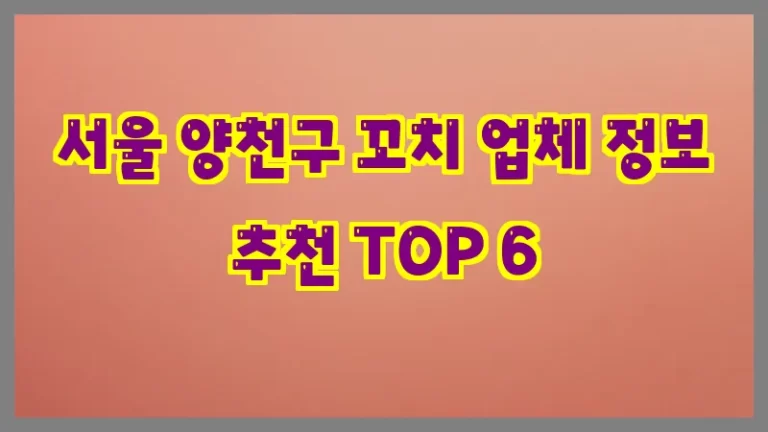 서울 양천구 꼬치 업체 정보 추천 TOP 6