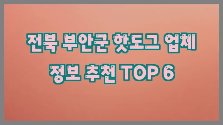 전북 부안군 핫도그 업체 정보 추천 TOP 6