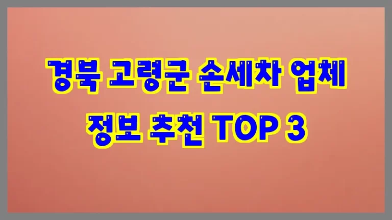 경북 고령군 손세차 업체 정보 추천 TOP 3