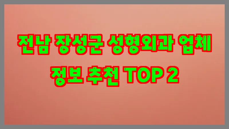 전남 장성군 성형외과