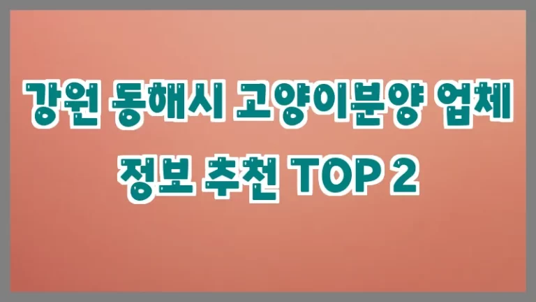 강원 동해시 고양이분양 업체 정보 추천 TOP 2