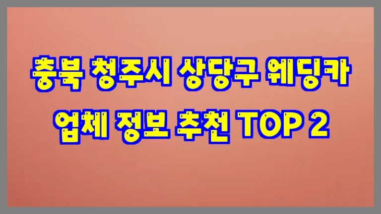 충북 청주시 상당구 웨딩카 업체 정보 추천 TOP 2