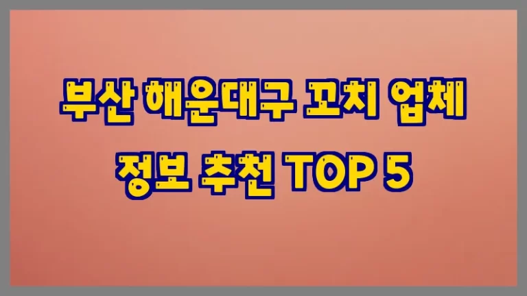 부산 해운대구 꼬치 업체 정보 추천 TOP 5