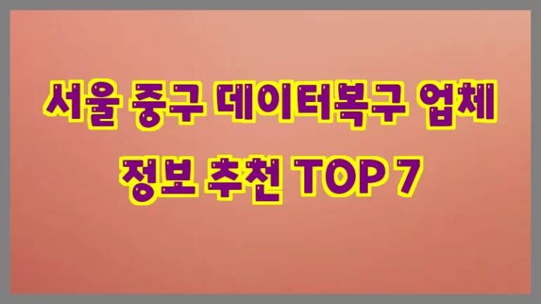 서울 중구 데이터복구 업체 정보 추천 TOP 7