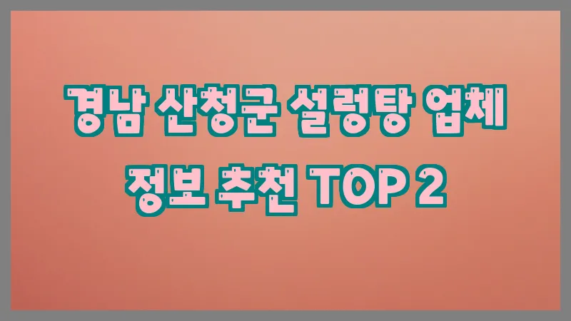 경남 산청군 설렁탕