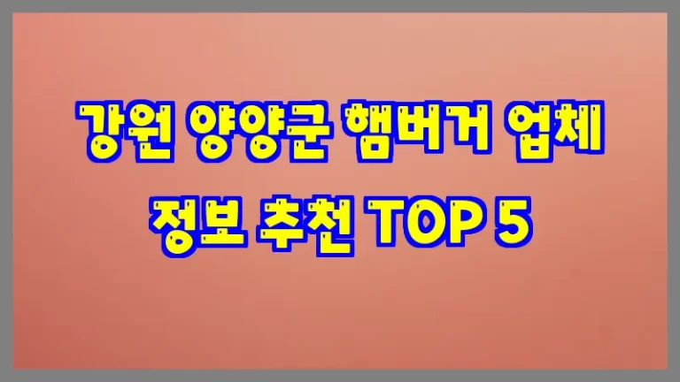 강원 양양군 햄버거 업체 정보 추천 TOP 5