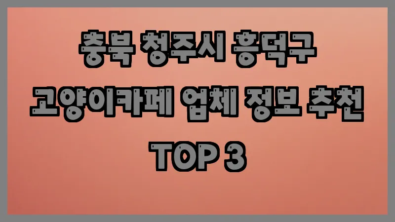 충북 청주시 흥덕구 고양이카페