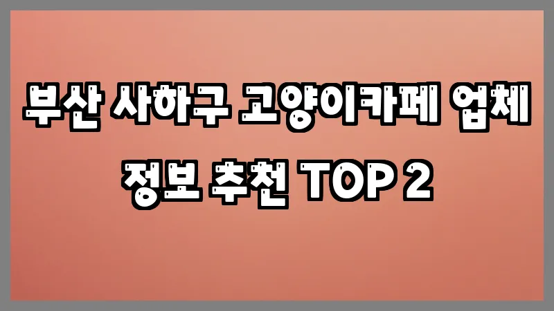 부산 사하구 고양이카페