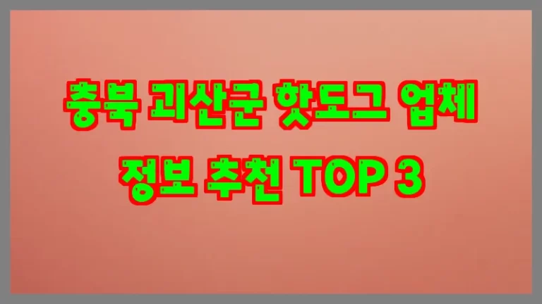 충북 괴산군 핫도그 업체 정보 추천 TOP 3