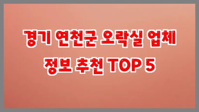 경기 연천군 오락실 업체 정보 추천 TOP 5