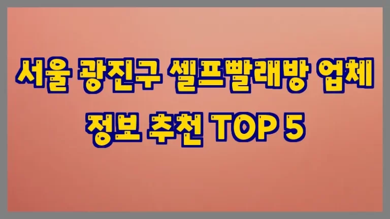 서울 광진구 셀프빨래방 업체 정보 추천 TOP 5